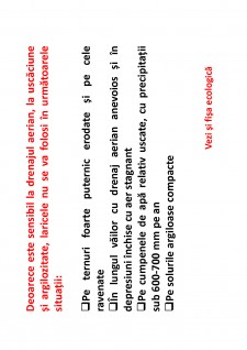 Ameliorații silvice - Pagina 129