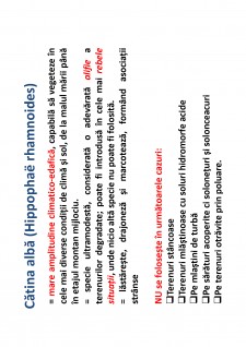 Ameliorații silvice - Pagina 143