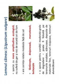 Ameliorații silvice - Pagina 144