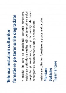 Ameliorații silvice - Pagina 148