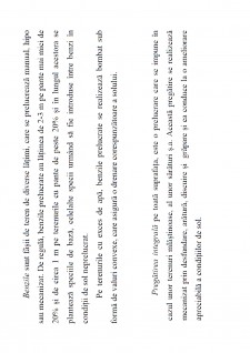 Ameliorații silvice - Pagina 158