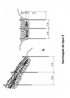 Ameliorații silvice - Pagina 185