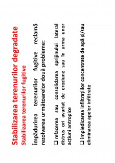 Ameliorații silvice - Pagina 186