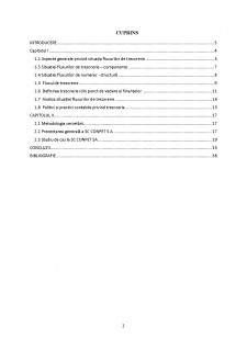 Politici și practici contabile privind Trezoreria - studiu de caz pentru o societate din România - Pagina 2