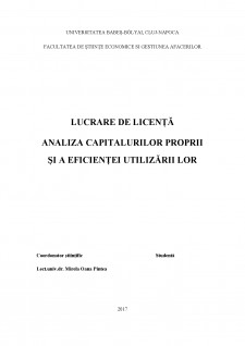 Analiza capitalurilor proprii și a eficienței utilizării lor - Pagina 1