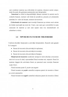 Rolul fluxului de trezorerie în managementul organizației - Pagina 5