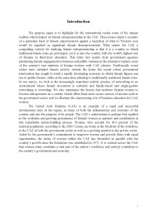 Female entrepreneurship în the United Arab Emirates - Pagina 3