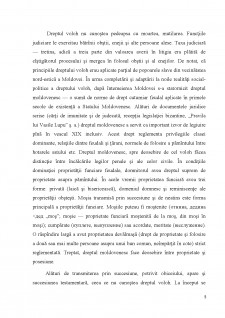 Pravila lui Vasile Lupu - Pagina 5