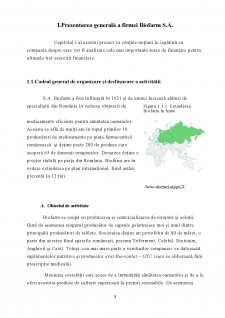 Structura activului întreprinderii Biofarm SA - Pagina 3
