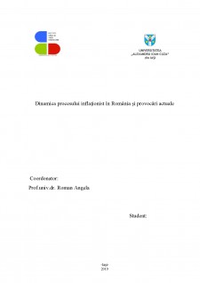 Dinamica procesului inflaționist în România și provocări actuale - Pagina 1