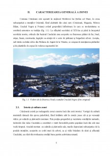 Factori de dezvoltare rurală în Comuna Crăcăoani, Județul Neamț - Pagina 5