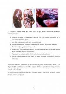 Analiza privind gradul de risc pentru aparitia pestei porcine africane în România - Pagina 3