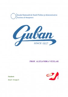 Guban - plan de marketing - Pagina 1