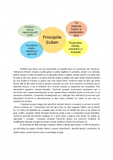 Guban - plan de marketing - Pagina 4