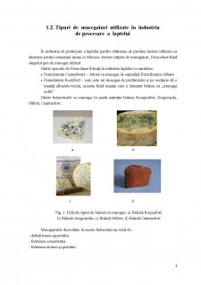 Microorganismele folosite în fabricarea brânzeturilor cu mucegai nobil - Pagina 4
