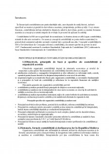 Sistemul contabil din Republica Moldova - Pagina 3