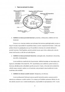 Antibiotice bacteriostatice - Tetraciclinele - Pagina 4