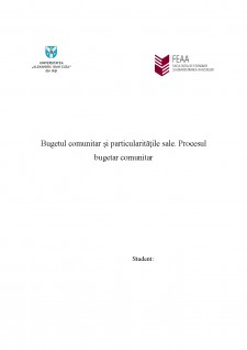 Bugetul comunitar și particularitățile sale - Procesul bugetar comunitar - Pagina 1