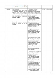 Plan didactic - Caracteristici ale sistemului de operare - Pagina 4