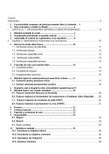 Studiu monografic - Elementele esențiale ale tehnicilor bancare practicate de băncile comerciale românești - Pagina 2