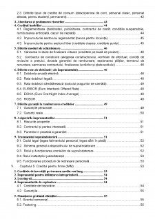 Studiu monografic - Elementele esențiale ale tehnicilor bancare practicate de băncile comerciale românești - Pagina 4