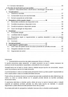 Studiu monografic - Elementele esențiale ale tehnicilor bancare practicate de băncile comerciale românești - Pagina 5
