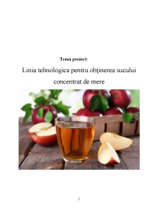 Linia tehnologica pentru obținerea sucului concentrat de mere - Pagina 2