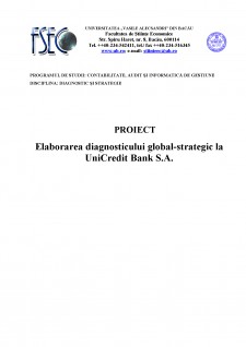 Elaborarea diagnosticului global-strategic la UniCredit Bank SA - Pagina 1