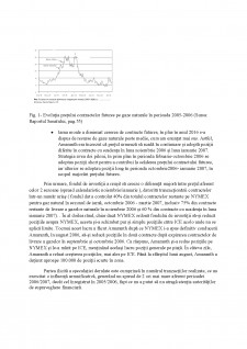 Piețe de capital - Pagina 2