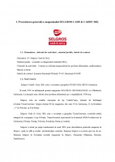 Caracterizarea pieței locale a magazinului Selgros Cash & Carry SRL Băneasa - Pagina 3