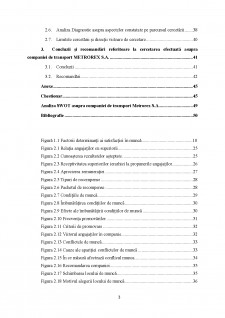 Studiu privind gradul de motivație și satisfacție al angajaților din cadrul companiei de transport Metrorex SA - Pagina 3