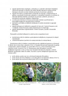 Controlul fitosanitar - Pagina 3