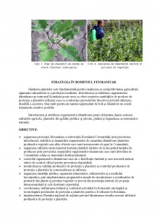 Controlul fitosanitar - Pagina 4