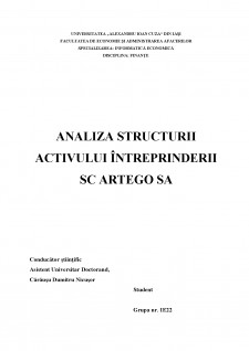 Structura activului la SC Artego SA - Pagina 1