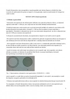 Tehnologia de producere a microcapsulelor - Pagina 3