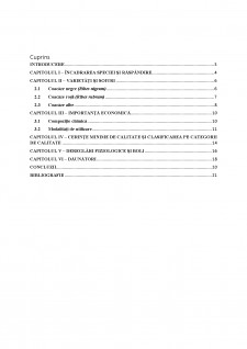 Standarde, cerințe minime de calitate și caracteristicile tehnologice a speciei Coacăze - Pagina 2