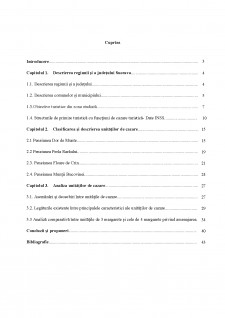 Analiza unităților de cazare din Municipiul Câmpulung Moldovenesc - Pagina 1