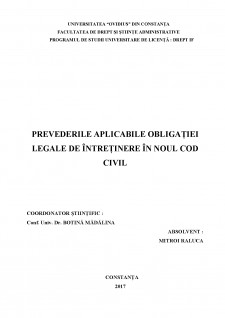 Prevederile aplicabile obligației legale de întreținere în noul cod civil - Pagina 2