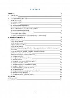Postulate și principii contabile - Pagina 2