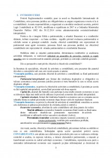 Postulate și principii contabile - Pagina 3