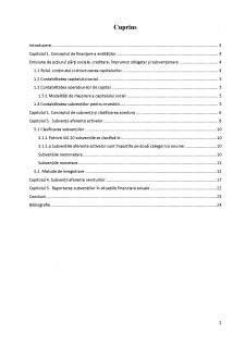 Modalități de finanțare a investițiilor și a activității de exploatare, conform IAS 20 - Pagina 2