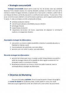 Plan de marketing pentru lansarea pe piață a VVA Sunglasses - Pagina 4