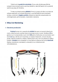 Plan de marketing pentru lansarea pe piață a VVA Sunglasses - Pagina 5