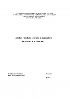 Analiza structurii activului întreprinderii Aerosta SA Bacău - Pagina 1