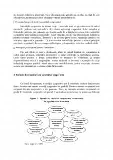 Organizațiile cooperatiste în lumea contemporană - Pagina 3