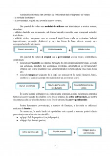 Concepții și teorii referitoare la obiectul contabilității - Pagina 5