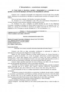 Raport de analiză și diagnostic SC ROMAERO SA - Pagina 3