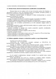 Raport de analiză și diagnostic SC ROMAERO SA - Pagina 4