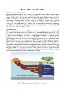 Depoluarea solului prin reducere chimică - Pagina 2