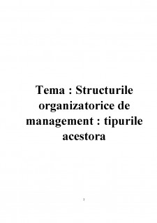 Structurile organizatorice de management - tipurile acestora - Pagina 1